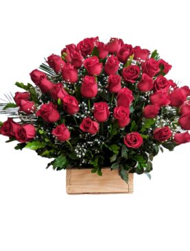 Caja con 48 rosas rojas