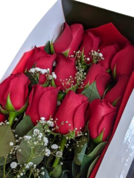 Caja con 12 rosas rojas