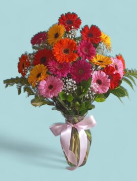 Gerberas Arcoiris